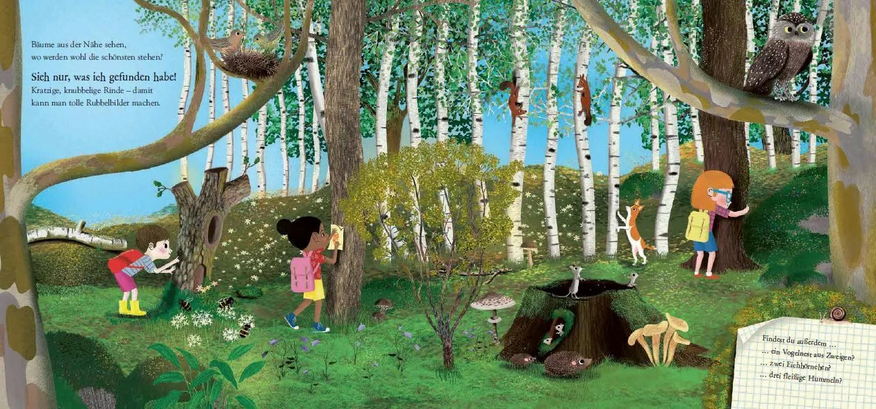 Buch: Schau Dich um in der Natur - Der Wald