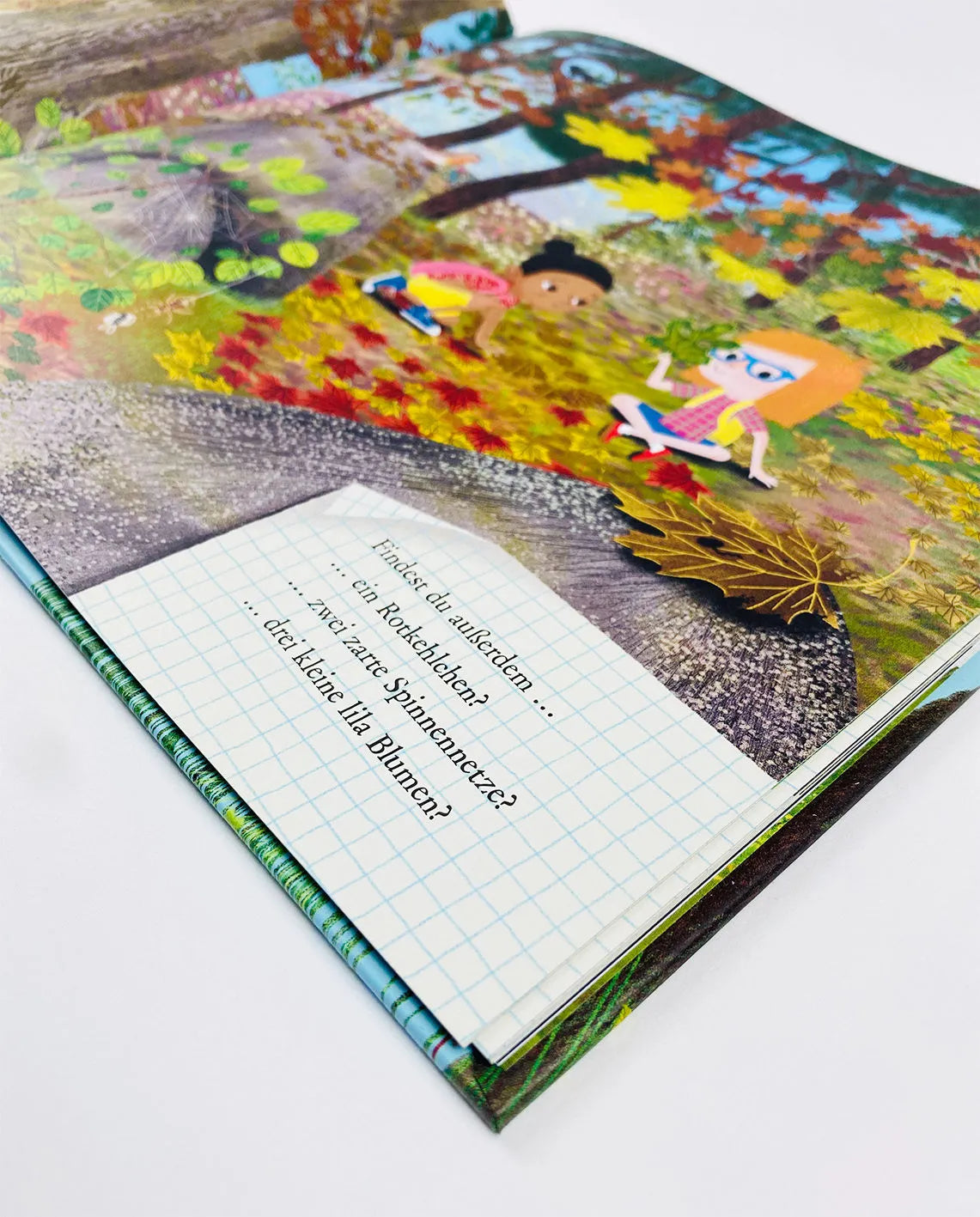 Buch: Schau Dich um in der Natur - Der Wald