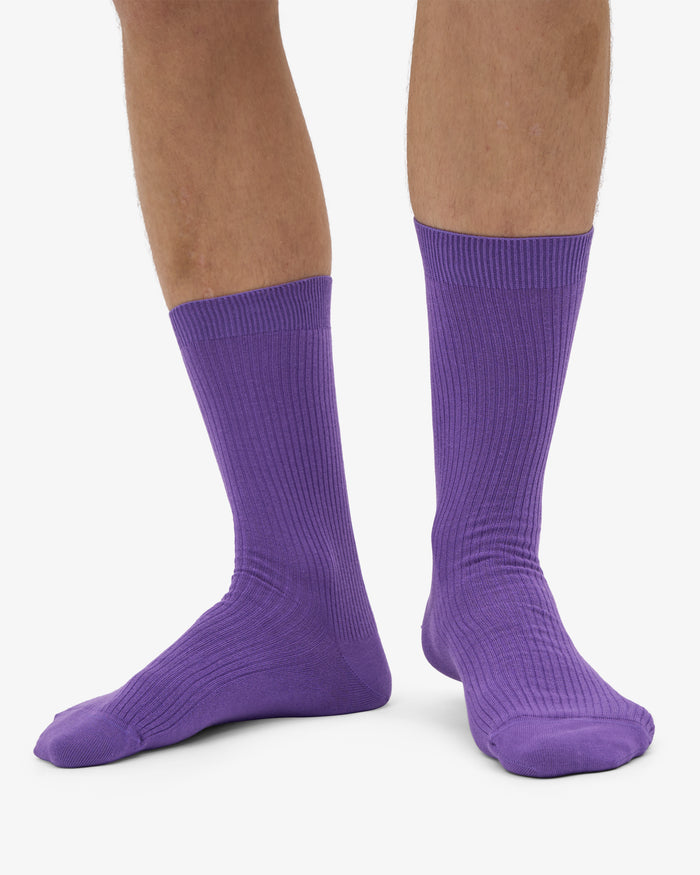 MEN CLASSIC ORGANIC SOCK - Ultra Violet