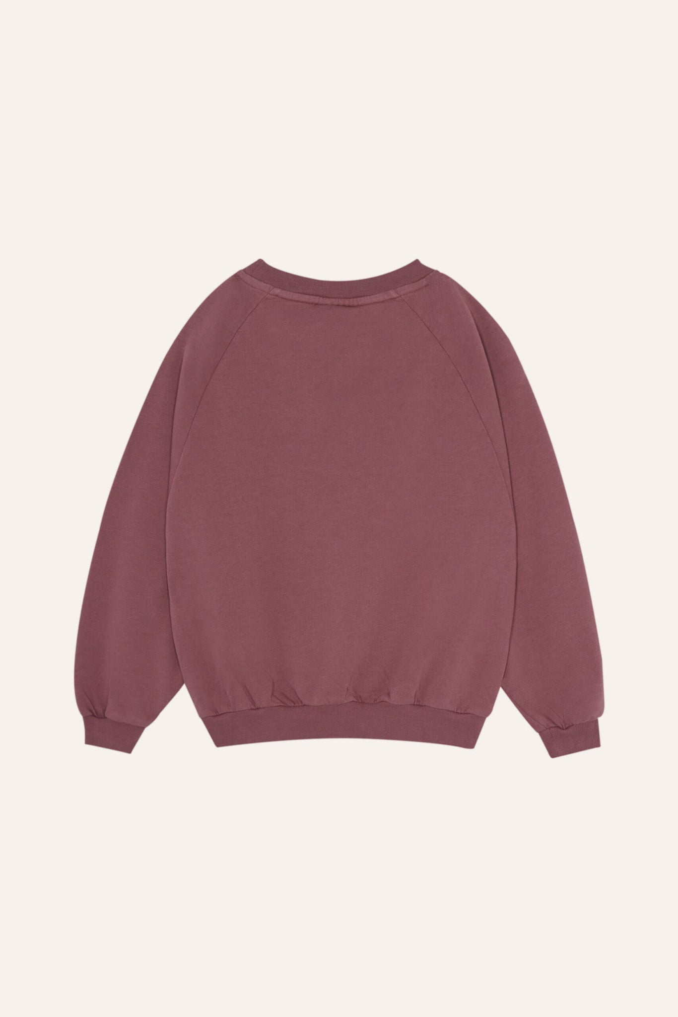 Washed Sweatshirt - Purple